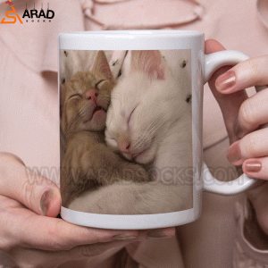 cats ceramic mug
