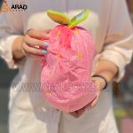 خرگوش سوپرایزی