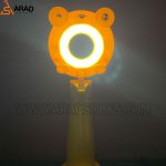 رینگ لایت فانتزی