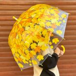 چتر برگ پاییزی زرد