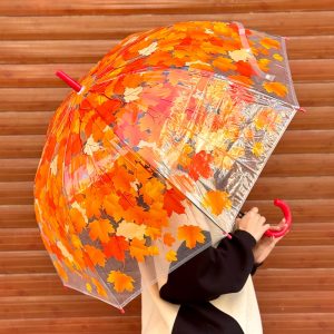 چتر برگ پاییزی قرمز