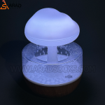 شبخواب قارچ بارانی