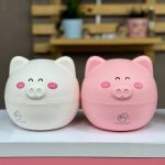 جا دستمالی خوک گرد