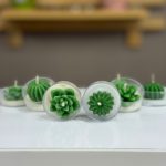 شمع مینی کاکتوس