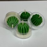 شمع مینی کاکتوس