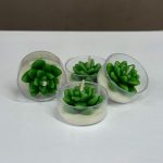 شمع مینی کاکتوس