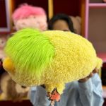 عروسک حیوانات خنگ