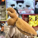 عروسک سنجاب سوپرایزی