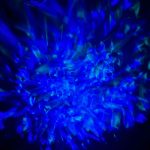 پروژکتور کهکشانی تخم اژدها