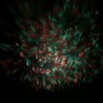 پروژکتور کهکشانی تخم اژدها