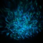 پروژکتور کهکشانی تخم اژدها