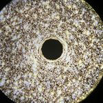 پروژکتور دیسکی کهکشانی