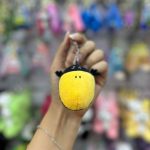 جاکلیدی کلاغ