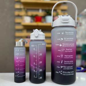 قمقمه سه قلو طوسی صورتی