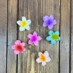 کلیپس گل پلومریا کوچیک