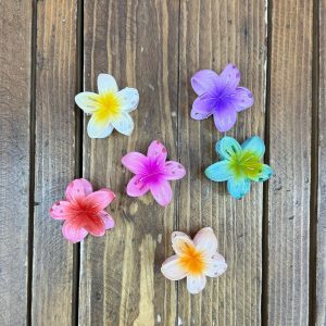 کلیپس گل پلومریا کوچیک