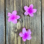 کلیپس گل پلومریا کوچیک