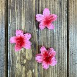 کلیپس گل پلومریا کوچیک