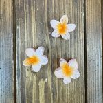 کلیپس گل پلومریا کوچیک