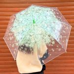 چتر شفاف شکوفه