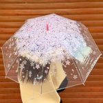 چتر شفاف شکوفه