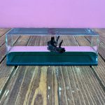 دکوری کشتی معلق آکواریومی