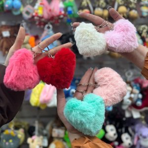 جاکلیدی پولیشی قلب