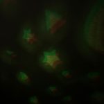 عروسک شب خواب کرومی