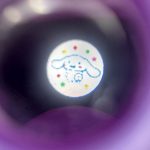 جاکلیدی سیلیکونی دوربین کرومی - Image 2