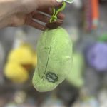 جاکلیدی الاغ سوپرایزی