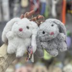 جاکلیدی خرگوش چشم تیله ای