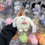 جاکلیدی خرگوش هلو به دست