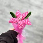 گل بافت لیلیوم