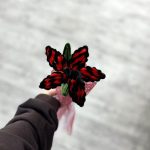 گل بافت لیلیوم