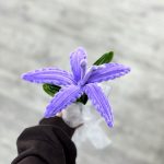 گل بافت لیلیوم