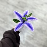 گل بافت لیلیوم