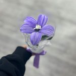گل بافت شیپوری - Image 4